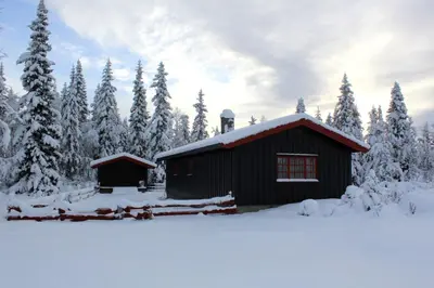 a cabin in a snowy forest with snow covered trees at Granbu by Norgesbooking - cozy cabin at Golsfjellet in Ulnes