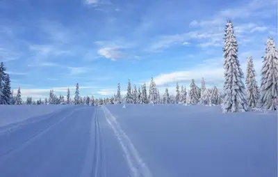 a snow covered road with snow covered trees in a field at Cozy Home In Sjusjøen With Sauna in Sjusjøen