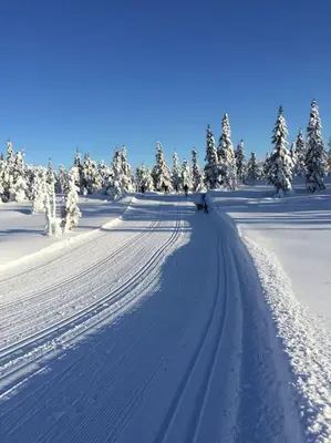 a person is skiing down a snow covered slope at Leilighet sentralt på Sjusjøen, 11 sengeplasser in Ringsaker