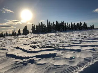 a snow covered field with the sun in the background at Leilighet sentralt på Sjusjøen, 11 sengeplasser in Ringsaker