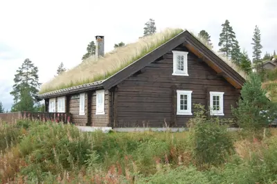 a house with a grass roof on top of a hill at Coazy cabin with sauna in Trysil