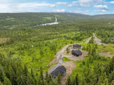 an aerial view of a house in a forest at Ny moderne hytte i Aust-Torpa in Aust-Torpa