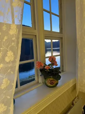 a vase with flowers sitting on a window sill at Nyrestaurert hus fra 1700-tallet in Bjørgo