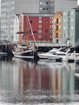 a sail boat docked in a harbor with buildings at Brygga B&B Trondheim sentrum, privat rom i vårt hjem in Trondheim