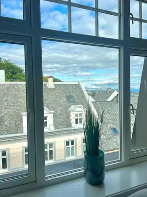a window with a potted plant on a window sill at Hellegata 5 - in the heart of Ålesund in Ålesund