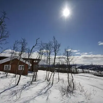 Large Cabin Retreat Perfect For Family Gatherings