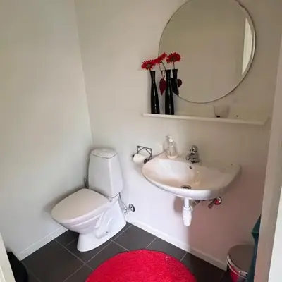 Enebolig Trondheim syd