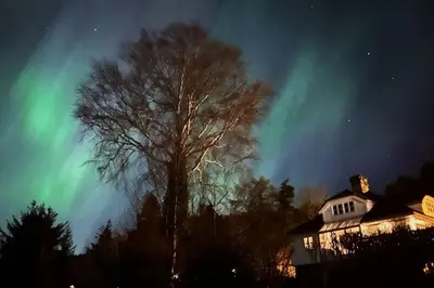 a tree in front of a house with the northern lights at Panoramic Fjord View near Bergen in Bergen