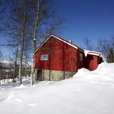 Charming Cabin Ski-In Access And Pet Friendly