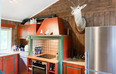 a kitchen with orange and green cabinets and a deer head on the wall at Nice Home In Oppdal With Sauna in Oppdal