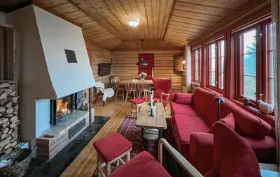 a living room with a couch and a fireplace at Awesome Home In Lillehammer With Sauna in Lillehammer