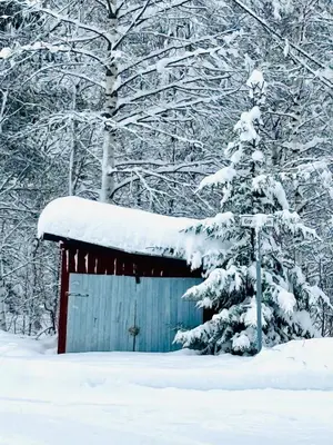 a snow covered shed with a snow covered tree at Pen hytte nær Ål in Liagardane