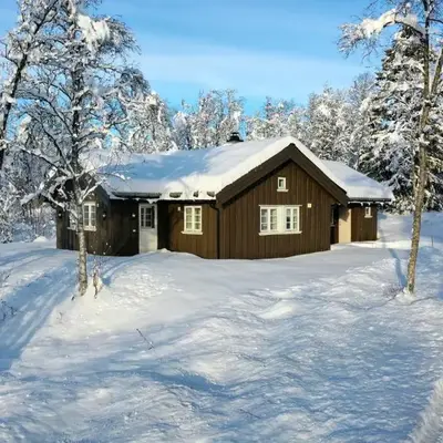 Modern Comforts