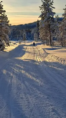 a person is walking down a snow covered road at Stallen in Heggem