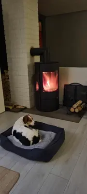 a dog laying in a dog bed in front of a fireplace at Rekkehus med 3 soverom in Trondheim