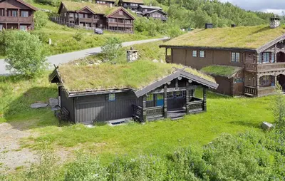 an overhead view of a house with a grass roof at Lovely Home In Beitostølen in Beitostøl