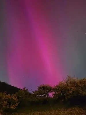 a purple sky with trees and a field at Casa Grend in Kvam