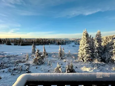a snow covered field with trees in the foreground at Apartment at Hafjell by Gaia ski-in out in Hafjell