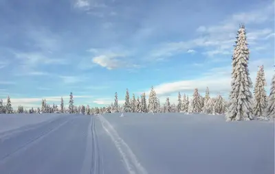 a snow covered field with snow covered trees and a road at Lovely Home In Sjusjøen With Wifi in Sjusjøen