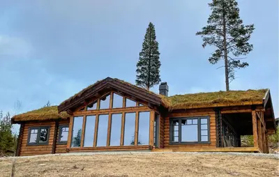 a log house with a grass roof at Amazing Home In Koppang in Koppang