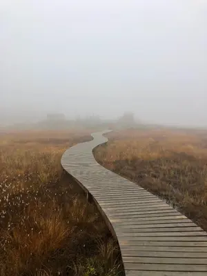 a boardwalk in the middle of a field at Beitobygda Getaway ,Nature And Luxury in Beitostøl