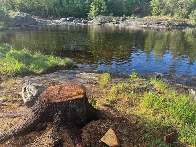 a tree stump sitting next to a body of water at Turifoss Camping Cabin 1 in Meråker