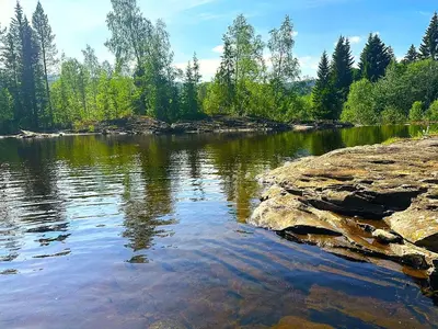 a large body of water with trees and rocks at Turifoss Camping Cabin 1 in Meråker