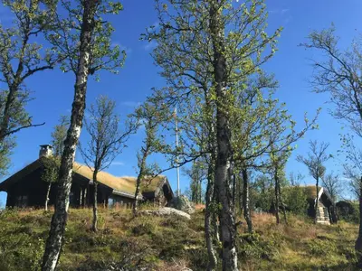 an old house with a thatched roof through trees at Large Log Cabin, Ski Fun Near Dagali in Dagali