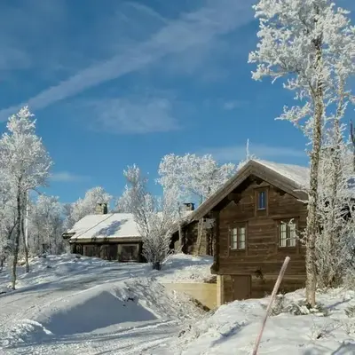 Large Log Cabin