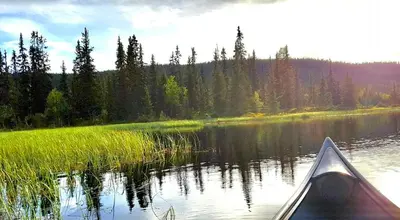 a kayak on a lake with grass and trees at Authentic Cabin Hygge All Year Round At Hafjell in Øyer