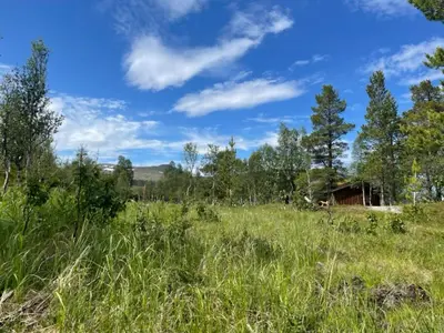 a field of grass with a house in the background at Modern Cabin By Hardangervidda in Garden