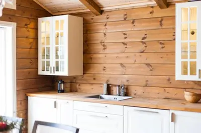 a kitchen with a sink and wooden walls at Cozy Cabin In Uvdal With Jacuzzi And Sauna in Uvdal
