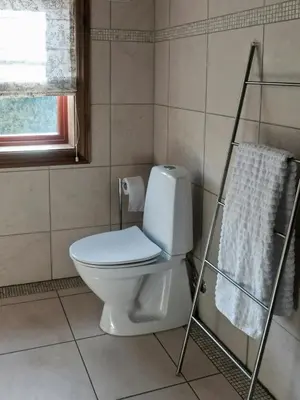 a bathroom with a toilet and a towel rack at Large Cabin By Farhovdtjønn In Rauland in Rauland