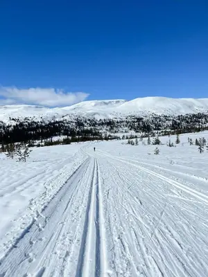 a person is skiing down a snow covered road at Modern Family Cabin At Vegglifjell in Veggli