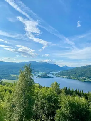 a view of a lake with trees and mountains at Enjoy Family Time In Beautiful Nature in Krøderen