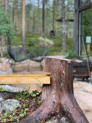 a large tree stump sitting on top of a bench at Enjoy Simple Cabin Life In Nature in Kongsberg