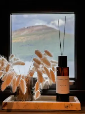 a bottle of essential oils next to a window with a plant at Luxury By The Fjord In Ranvik in Eidsvåg