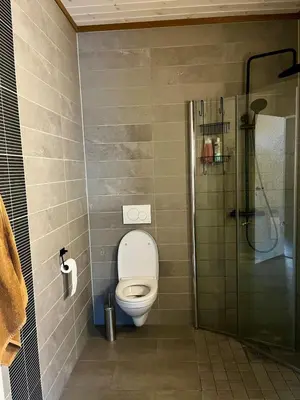 a bathroom with a toilet and a shower at A home away from home in Sogndal