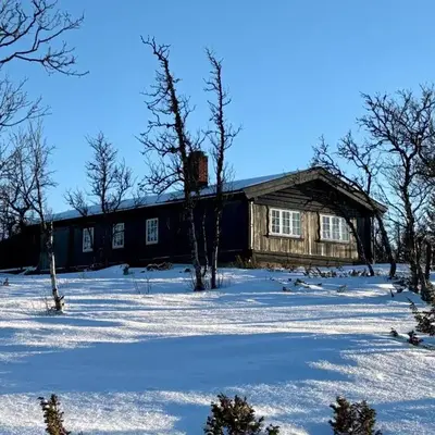 Cozy cabin near Geilo & Dagali terrace