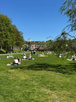 a group of people laying on the grass in a park at Liten studioleilighet meget sentralt i sentrum, 3 minutter fra torget in Trondheim