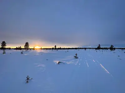 a field covered in snow with the sun in the background at Simple family cabin at Haugen, Femundsmarka in Elga