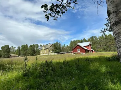 a group of houses in a field with a tree at Simple family cabin at Haugen, Femundsmarka in Elga