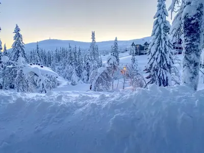 a snow covered forest with trees and a house at Trysilfjellet Nord 1071B in Trysil