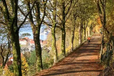 a painting of a person riding a bike down a tree lined path at DINBNB Apartments Private terrace l 700 m to Bryggen l Modern in Bergen