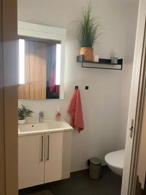 a bathroom with a sink and a toilet at Hus til leie under VM 2025 in Trondheim