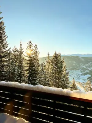 a view of snow covered trees and a fence at TheHideaway in Sel