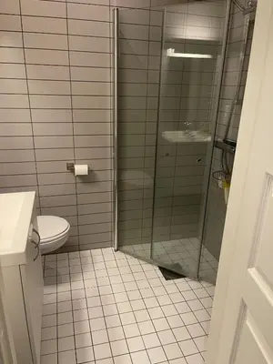 a bathroom with a shower and a toilet at Apartment Sjusjøen in Sjusjøen