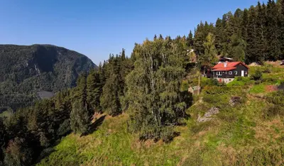a house on the side of a hill with trees at FourGotten in Sel