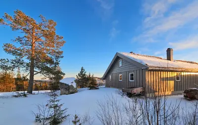 a house in the snow next to a tree at Amazing Home In Eggedal With Sauna in Eggedal