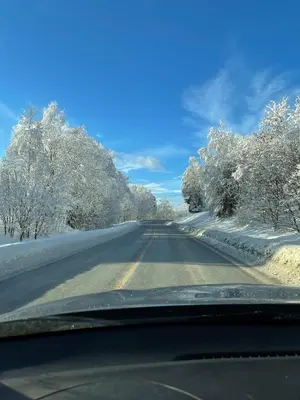 a view of a road with snow covered trees at Holiday Cabin with Hot Tub and Billiard Table in Tyndrom